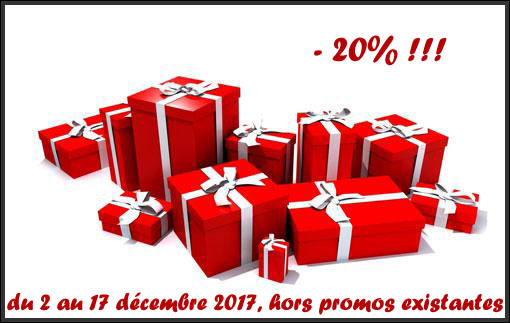 -20% noel 2017.jpg